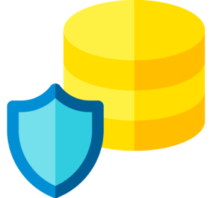 shield-and-coin-digital4all-agence-digitale-authentique-specialiste-des-projets-web-pour-pme-et-tpe